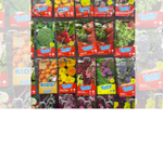 Half-term Gardening at Poundstretcher