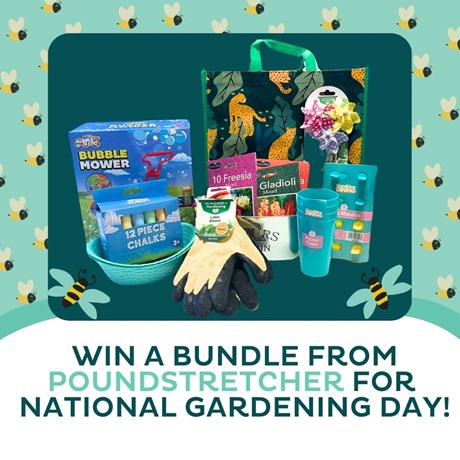 _Marlowes and winner artwork (15).jpg