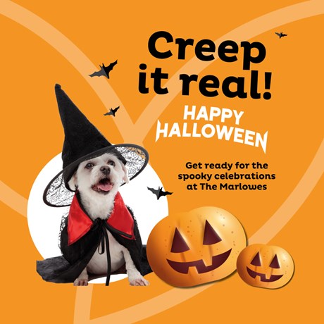 Marlowes Halloween 25_Square Post.jpg