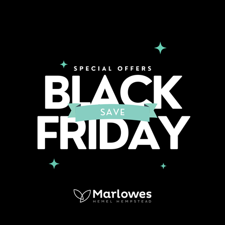 _Marlowes and winner artwork.png (2)